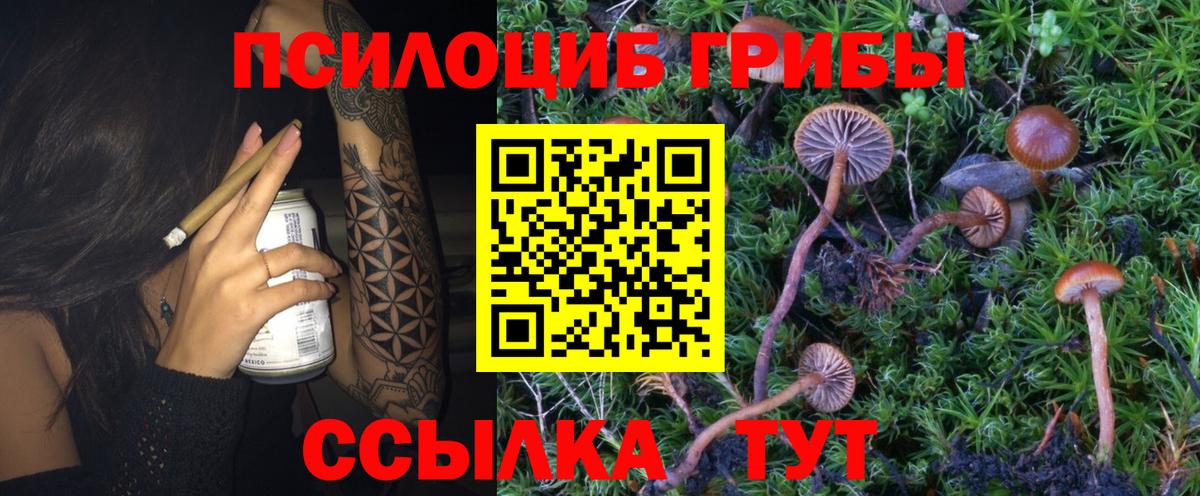 Галлюциногенные грибы Psilocybine cubensis  Галлюциногенные грибы ЛСД  Вход с VPN  Кандалакша 