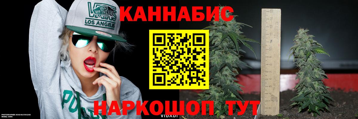 Канабис OG Kush Кандалакша